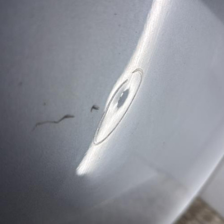 Porte arriere gauche CITROEN C3 PICASSO