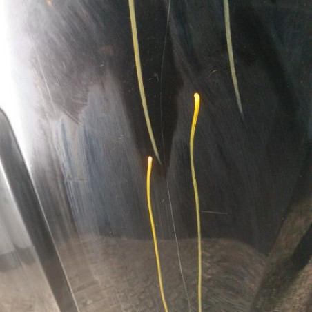 Porte arriere droit PEUGEOT 308 1