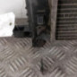 Radiateur eau DACIA LODGY