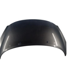 Capot PEUGEOT 207 Photo n°1