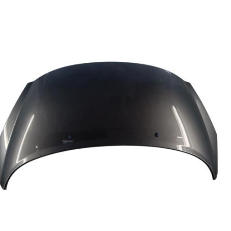 Capot PEUGEOT 207 Photo n°1