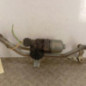 Moteur essuie glace avant PEUGEOT 207