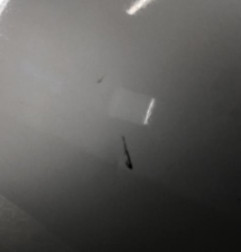 Porte arriere droit DACIA DUSTER 1 Photo n°5