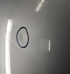 Capot RENAULT GRAND SCENIC 3 Photo n°3