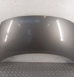 Capot RENAULT SCENIC 3 Photo n°1