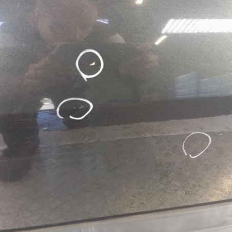 Porte arriere gauche DACIA LOGAN MCV 1