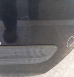 Porte arriere gauche DACIA LOGAN MCV 1 Photo n°5