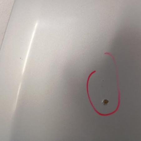 Capot FIAT GRANDE PUNTO