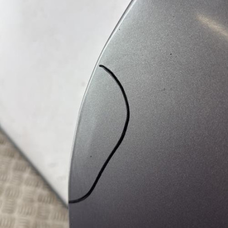 Porte arriere droit RENAULT SCENIC 2