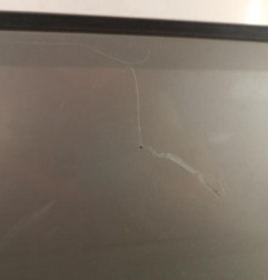 Porte avant gauche SUZUKI GRAND VITARA 2