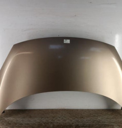 Capot RENAULT GRAND SCENIC 3 Photo n°1