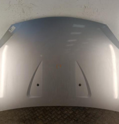 Capot DACIA SANDERO 1 Photo n°1