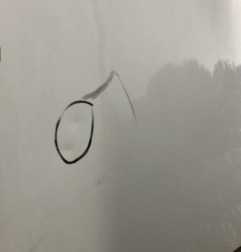 Porte de coffre droit CITROEN BERLINGO 1 Photo n°7