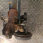 Train arriere complet PEUGEOT 206