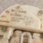 Pompe de gavage RENAULT CLIO 2