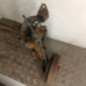 Train arriere complet PEUGEOT 206