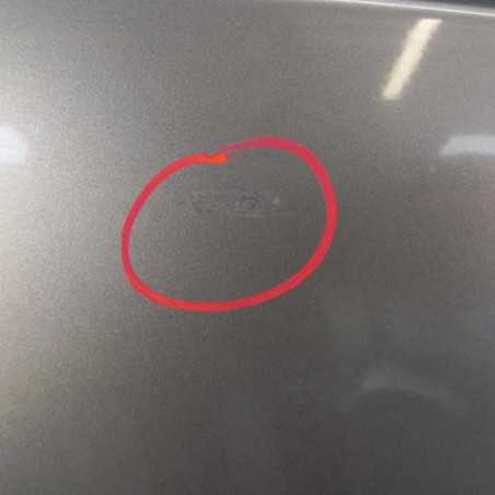 Porte avant droit RENAULT SCENIC 3
