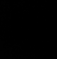 Porte avant gauche FIAT TALENTO Photo n°4