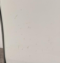 Porte de coffre droit RENAULT KANGOO 2