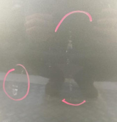 Porte arriere gauche RENAULT MODUS