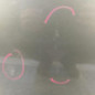 Porte arriere gauche RENAULT MODUS