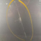 Porte avant droit VOLKSWAGEN GOLF 6
