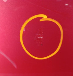 Porte avant droit VOLKSWAGEN POLO 3