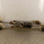 Moteur essuie glace avant NISSAN MICRA 3