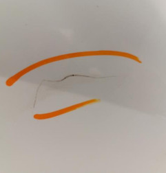 Aile avant droit PEUGEOT 3008 1 Photo n°3