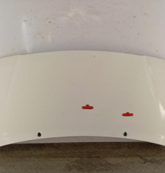 Capot PEUGEOT EXPERT 1 Photo n°1