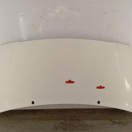 Capot PEUGEOT EXPERT 1 Photo n°1