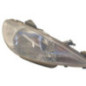 Optique avant principal droit (feux)(phare) PEUGEOT 206