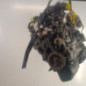 Moteur PEUGEOT PARTNER 2