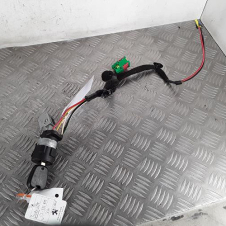 Neiman PEUGEOT 307 Photo n°1