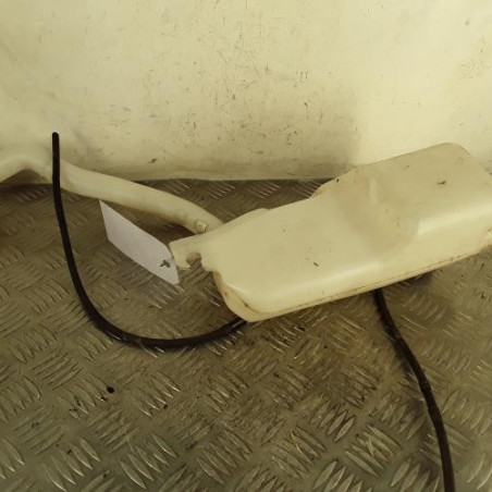 Vase de lave glace RENAULT ZOE 1