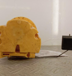 Pompe de gavage PEUGEOT 307 Photo n°4