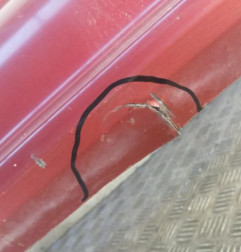 Pare choc arriere NISSAN MICRA 2 Photo n°7