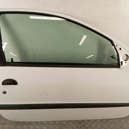 Porte avant droit PEUGEOT 206 Photo n°1