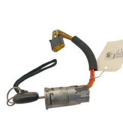 Neiman RENAULT SCENIC 1 Photo n°1