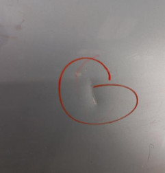 Porte avant droit VOLKSWAGEN GOLF PLUS