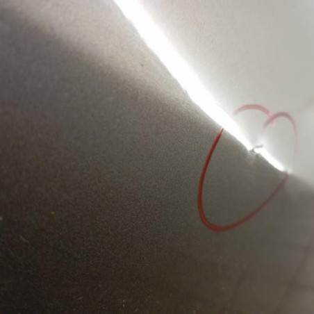 Porte arriere gauche RENAULT MODUS