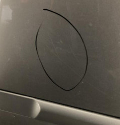 Porte arriere gauche RENAULT CLIO 3