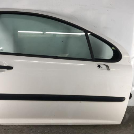 Porte avant droit PEUGEOT 207 Photo n°1