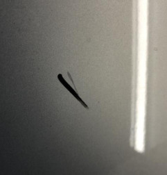 Capot VOLKSWAGEN GOLF 6