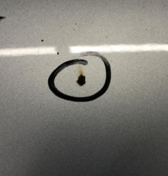 Capot VOLKSWAGEN GOLF 6 Photo n°7