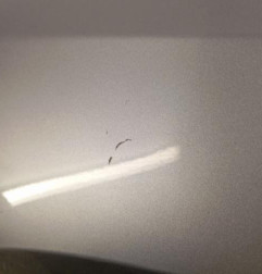 Aile avant gauche PEUGEOT 308 2