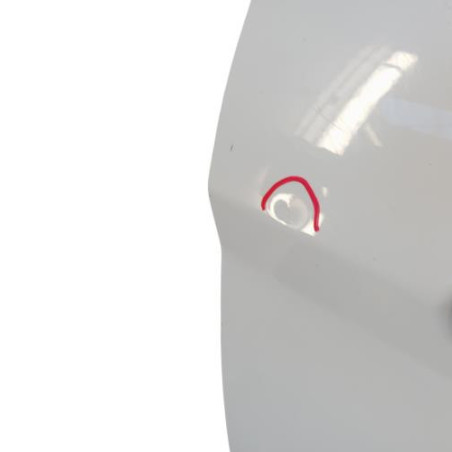 Porte avant droit FORD FIESTA 6