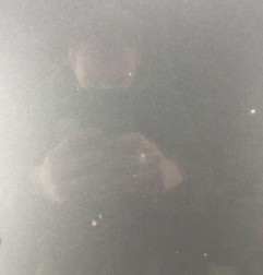 Capot OPEL MERIVA B Photo n°5