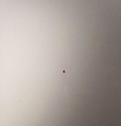 Capot VOLKSWAGEN GOLF 7 Photo n°5