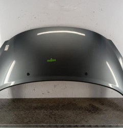 Capot PEUGEOT 207 Photo n°1